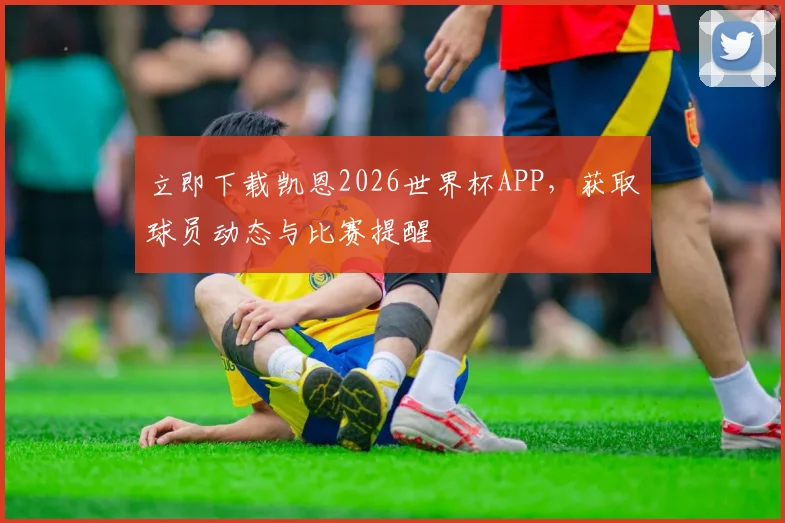 立即下载凯恩2026世界杯APP，获取球员动态与比赛提醒
